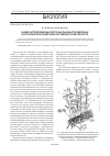 Научная статья на тему 'Анализ распределения высокогорных ландшафтов умеренных и субтропических зон Евразии в системе высотной поясности'