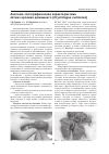 Научная статья на тему 'Анатомо-топографическая характеристика лёгких кролика домашнего (Oryctolagus cuniculus)'