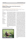 Научная статья на тему 'Хищные птицы и совы лесостепей верхнего Приангарья, Россия'