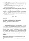 Научная статья на тему 'Хохлатый жаворонок galerida cristata в Санкт-Петербургской губернии'