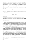 Научная статья на тему 'Индийская кукушка Cuculus micropterus в СССР'