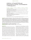 Научная статья на тему 'Inhibition of poly(ADP-ribose) polymerase by nucleic acid metabolite 7-methylguanine'