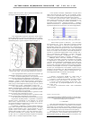 Научная статья на тему 'Использование макролюминесцентного анализа при проведении биохимических и генетических исследований остеологического материала'