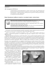 Научная статья на тему 'Конструкция гребного винта с волнистыми лопастями'