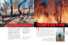 Научная статья на тему 'Лесные пожары как геохимическая угроза'