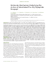Научная статья на тему 'Molecular mechanism underlying the action of substituted Pro-Gly dipeptide Noopept'