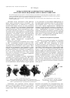 Научная статья на тему 'Морфологические особенности мутационной и паразитарной «Ведьминых метел» пихты сибирской'