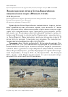 Научная статья на тему 'Находки редких птиц в Катон-Карагайском национальном парке (Южный Алтай)'