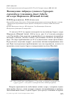 Научная статья на тему 'Нахождение гибрида сухоноса Cygnopsis cygnoides и гуменника anser fabalis на озере Маркаколь (Южный Алтай)'