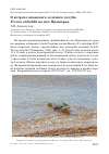 Научная статья на тему 'О встрече японского зелёного голубя Treron sieboldii на юге Приморья'