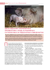 Научная статья на тему 'Обоснование применения пробиотика «МКД» в рационах супоросных и подсосных свиноматок'