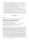 Научная статья на тему 'Обыкновенная горлица Streptopelia turtur на пути к исчезновению'