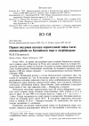 Научная статья на тему 'Первая гнездовая находка черноголовой чайки Larus melanocephalus на Каспийском море в Азербайджане'