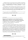 Научная статья на тему 'Первая регистрация толстоклювой пеночки Phylloscopus schwarzi на территории Украины'