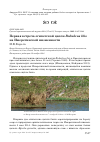 Научная статья на тему 'Первая встреча египетской цапли Bubulcus ibis на Имеретинской низменности'
