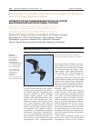Научная статья на тему 'Первый случай гнездования скопы на опоре высоковольтной ЛЭП в Саяне, Россия'