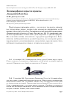 Научная статья на тему 'Полиморфизм окраски кряквы Anas platyrhynchos'
