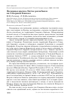 Научная статья на тему 'Полярная крачка Sterna paradisaea на Северном Кавказе'
