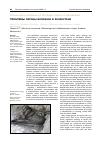 Научная статья на тему 'Проблемы охраны балобана в Казахстане'