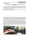 Научная статья на тему 'Раневая микрофлора в местах поражения трансмиссивной венерической саркомой собак'