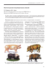 Научная статья на тему 'Светлогорская популяция мини-свиней'