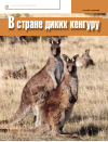 Научная статья на тему 'В стране диких кенгуру'