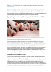 Научная статья на тему 'Йогурт для улучшения состояния здоровья сосущих поросят и свиноматок'