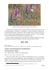 Научная статья на тему 'Залёт гаги Somateria mollissima на Азовское море'