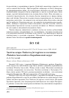 Научная статья на тему 'Залёты огаря Tadorna ferruginea и колпицы Platalea leucorodia в Барабинский округ'