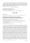 Научная статья на тему 'Зимняя регистрация малого канюка buteo buteo vulpinus на озере Иссык-Куль'