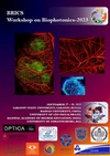 Научный журнал по физике, 'BRICS Workshop on Biophotonics 2023 — Book of Abstracts'