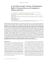 Научная статья на тему 'A Cytofluorometric study of membrane rafts in human monocyte subsets in atherosclerosis'