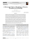 Научная статья на тему 'A Microscopic Study on Morphology of Reactive Thrombocytes in Duckling'