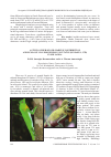 Научная статья на тему 'A study of behaviour, habitat, distribution and ecology on Lyriocephalus scutatus (Linnaeus, 1758) in Sri Lanka'