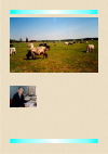Научная статья на тему 'Актуальные вопросы селекции холмогорского скота'