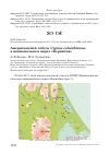 Научная статья на тему 'Американский лебедь Cygnus columbianus в национальном парке «Берингия»'