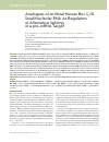 Научная статья на тему 'Analogues of artificial human box c/D small nucleolar rna as regulators of alternative splicing of a pre-mRNA target'