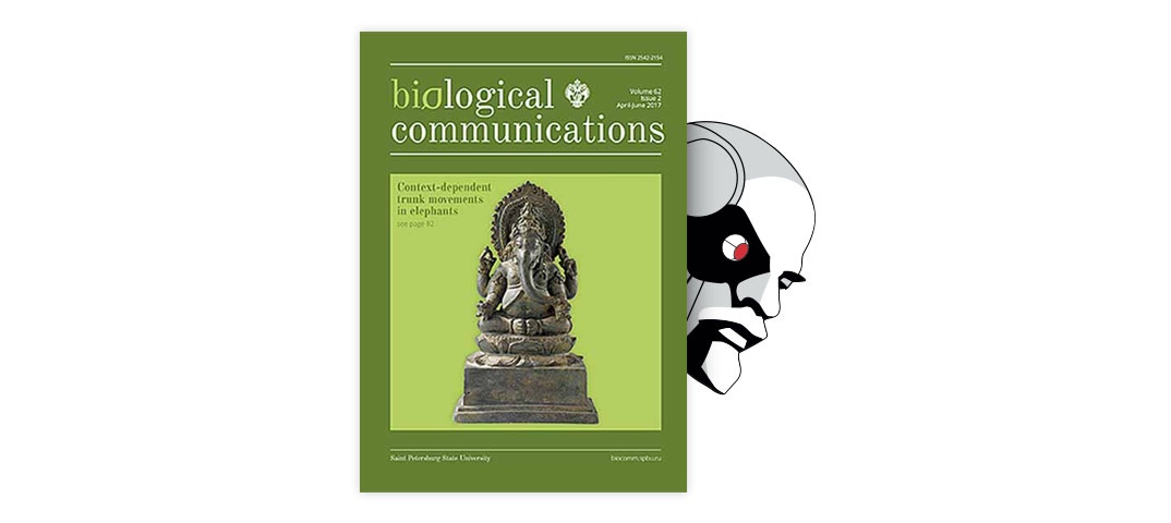 Mitogenomics of historical type specimens of Australasian turtles:  clarification of taxonomic confusion and old mitochondrial introgression