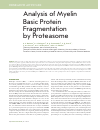 Научная статья на тему 'Analysis of myelin basic protein fragmentation by proteasome'