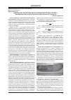 Научная статья на тему 'Анатомічна характеристика селезінки Bos taurus taurus L'