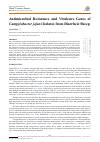 Научная статья на тему 'Antimicrobial Resistance and Virulence Genes of Campylobacter jejuni Isolates from Diarrheic Sheep'