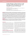 Научная статья на тему 'At the interface of three Nucleic Acids: the role of RNA-binding proteins and poly(ADP-ribose) in DNA repair'