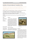 Научная статья на тему 'Балобан в пустыне Северного Синцзяня, Китай'