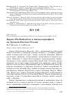 Научная статья на тему 'Бархат Phellodendron и птицы-карпофаги на Дальнем Востоке России'