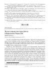 Научная статья на тему 'Белоголовый сип Gyps fulvus в Карачаево-Черкесии'