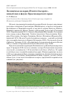 Научная статья на тему 'Белощёкая казарка Branta leucopsis – новый вид в фауне Краснодарского края'