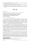 Научная статья на тему 'Белощёкая казарка Branta leucopsis в окрестностях острова Колгуев'