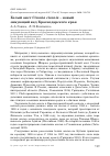 Научная статья на тему 'Белый аист ciconia ciconia - новый зимующий вид Краснодарского края'