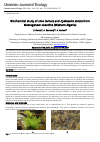 Научная статья на тему 'Biochemical study of Ulva lactuca and Cystoseira stricta from Mostaganem coastline (Western Algeria)'