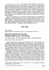 Научная статья на тему 'Биология нитехвостой ласточки Hirundo smithii на юге Узбекистана'